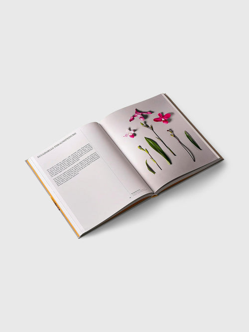 Rizzoli Orchids: Botanical Portraits: Beauty, Natural History, Botany
