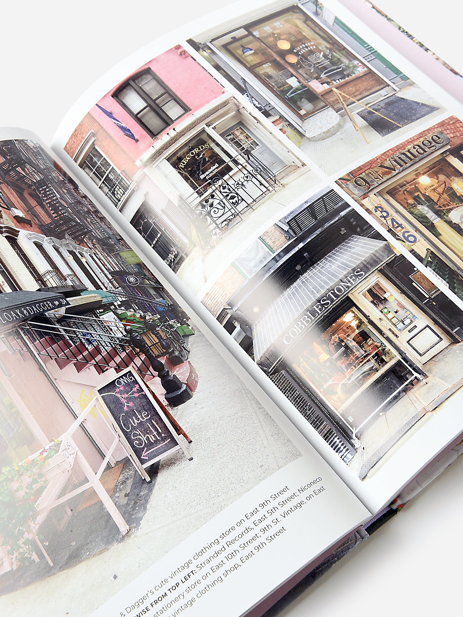 Abrams Publishing Walk With Me: New York – Saint Bernard