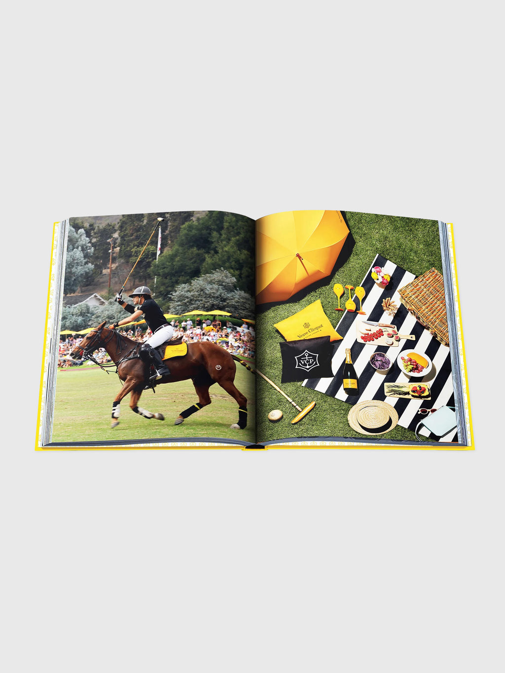 Assouline Veuve Clicquot - Saint Bernard