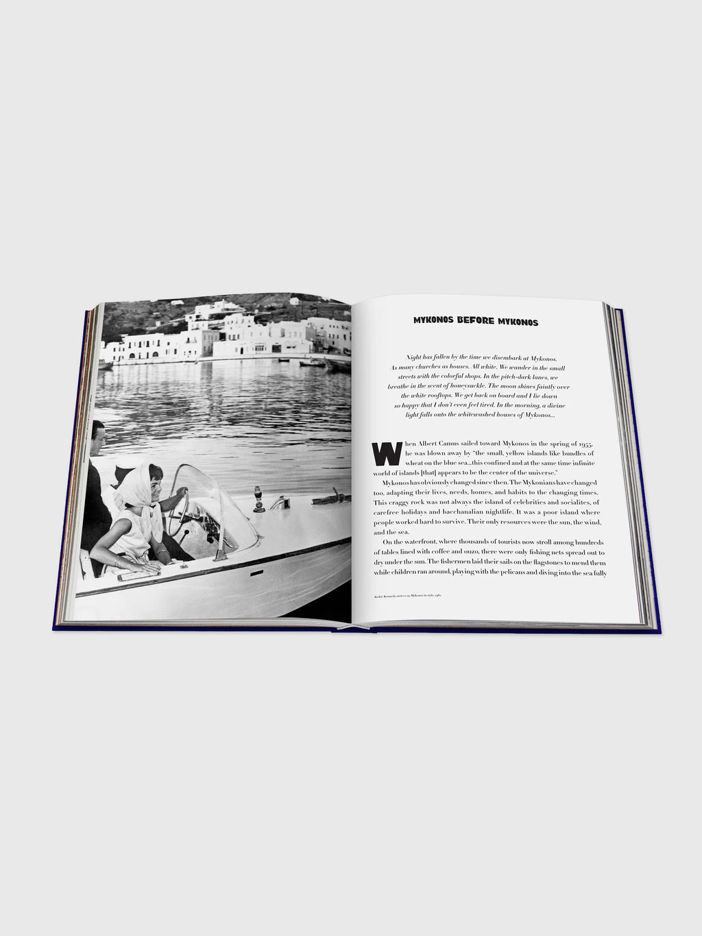Assouline Mykonos Muse - Saint Bernard
