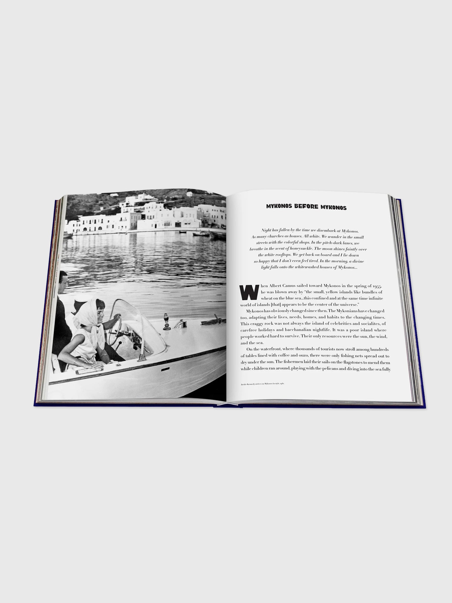 Assouline Mykonos Muse - Saint Bernard