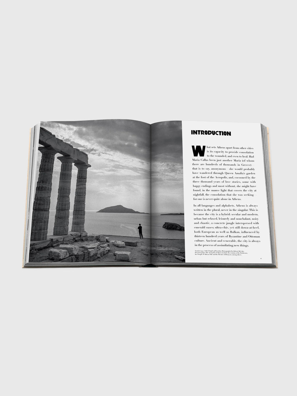 Assouline Athens Riviera - Saint Bernard