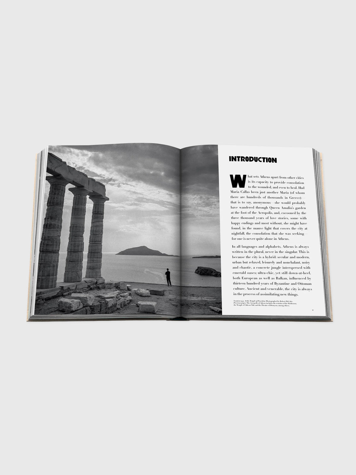 Assouline Athens Riviera - Saint Bernard