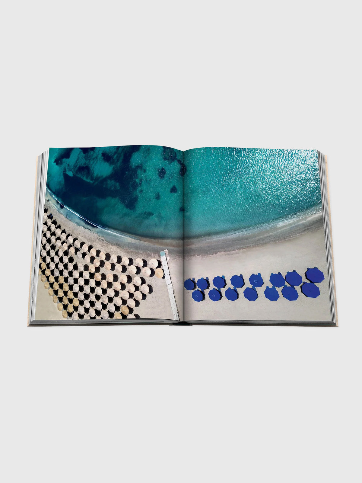 Assouline Athens Riviera - Saint Bernard