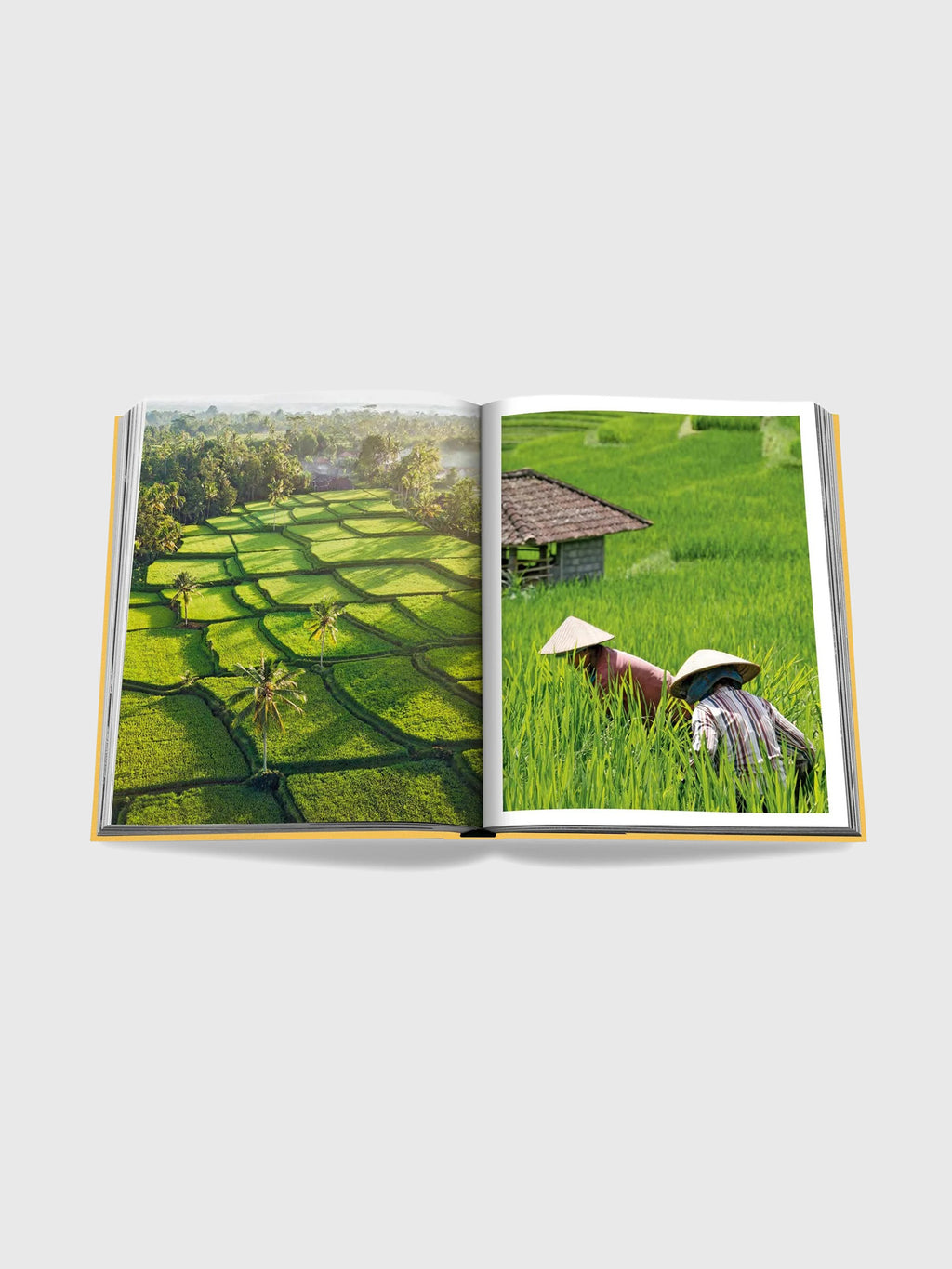 Assouline Bali Mystique