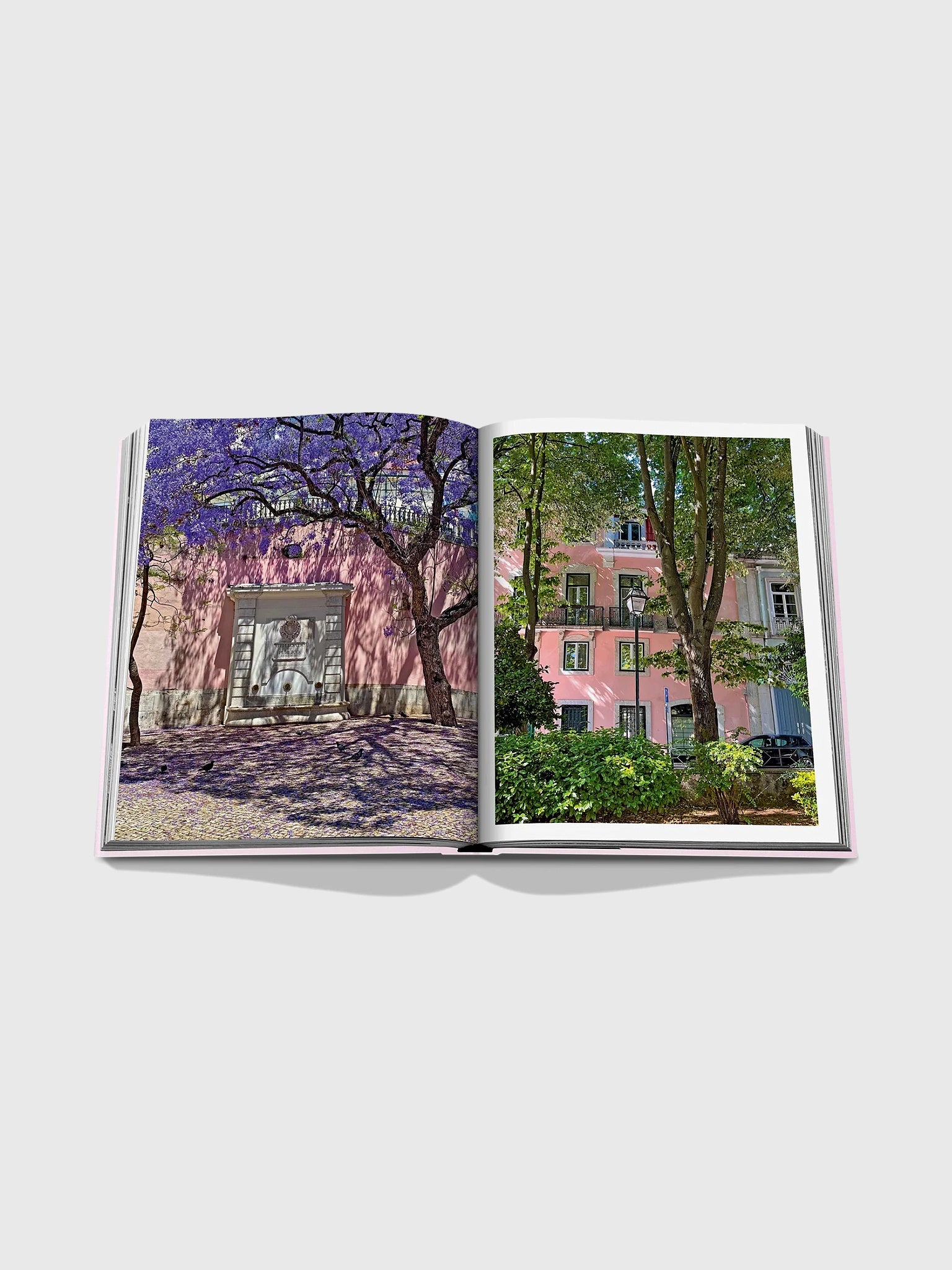 Assouline Lisboa Luz