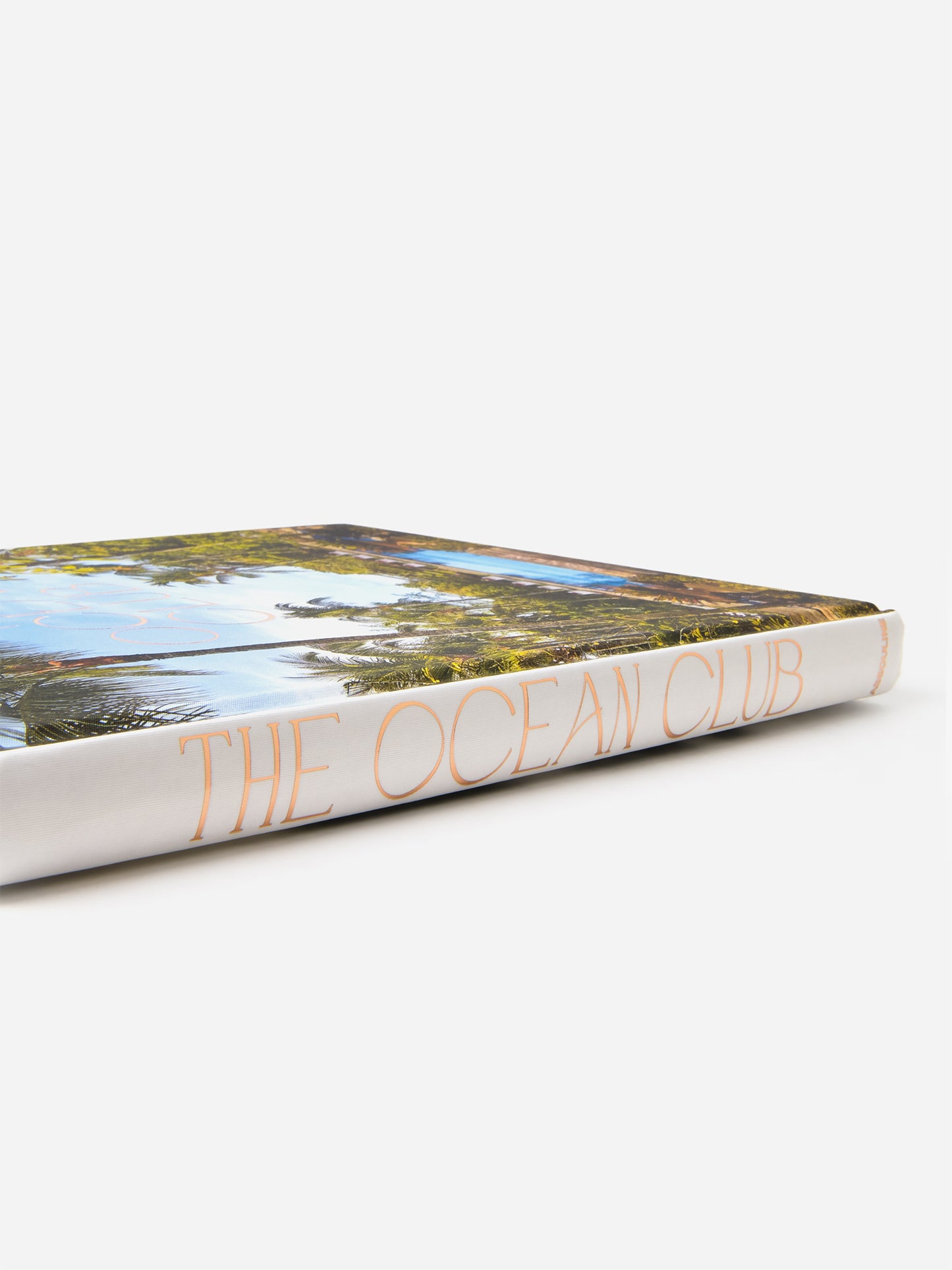 9781649801531xNA-alt3