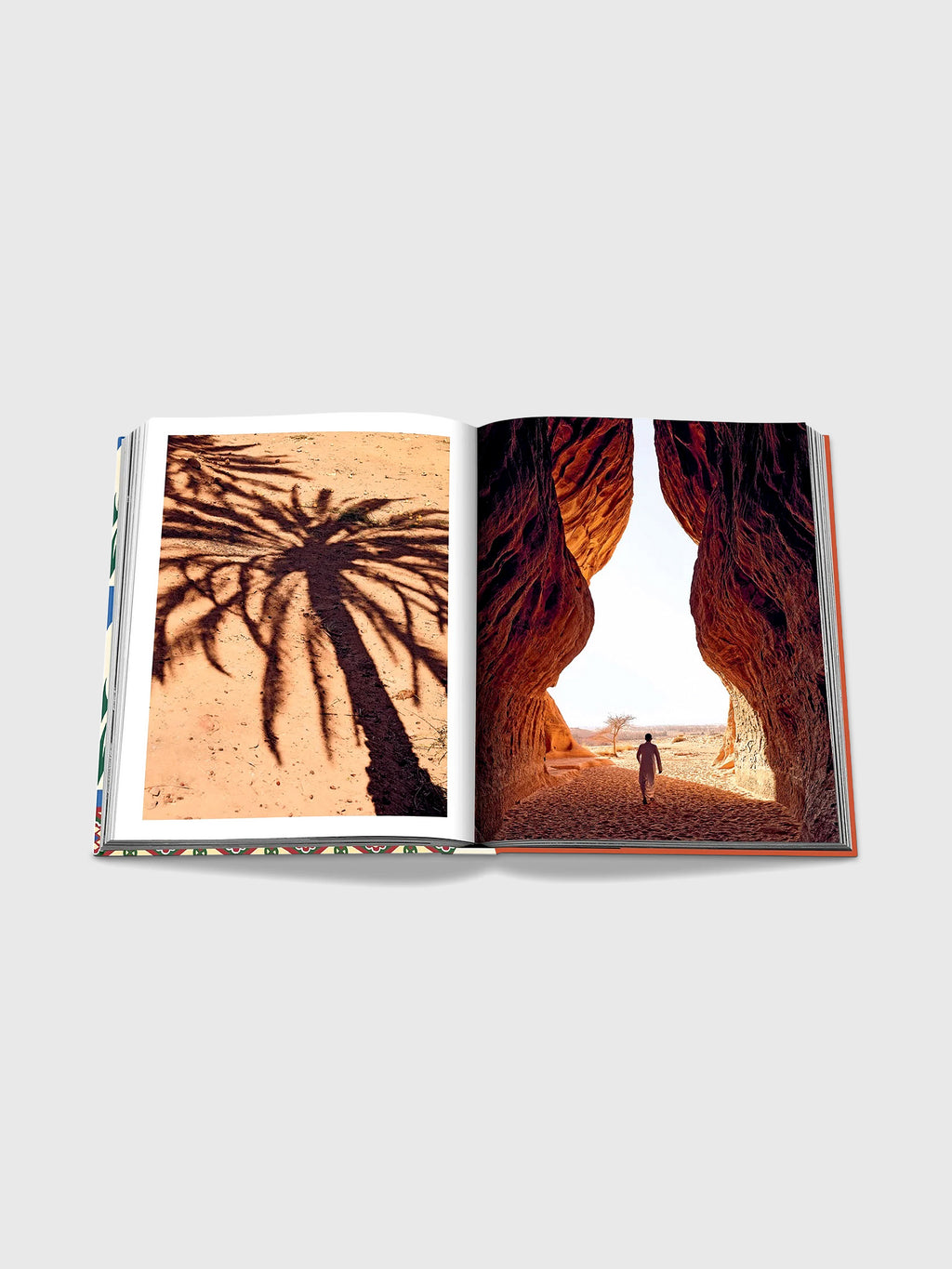 Assouline Saudi Dates: A Portrait of the Sacred Fruit