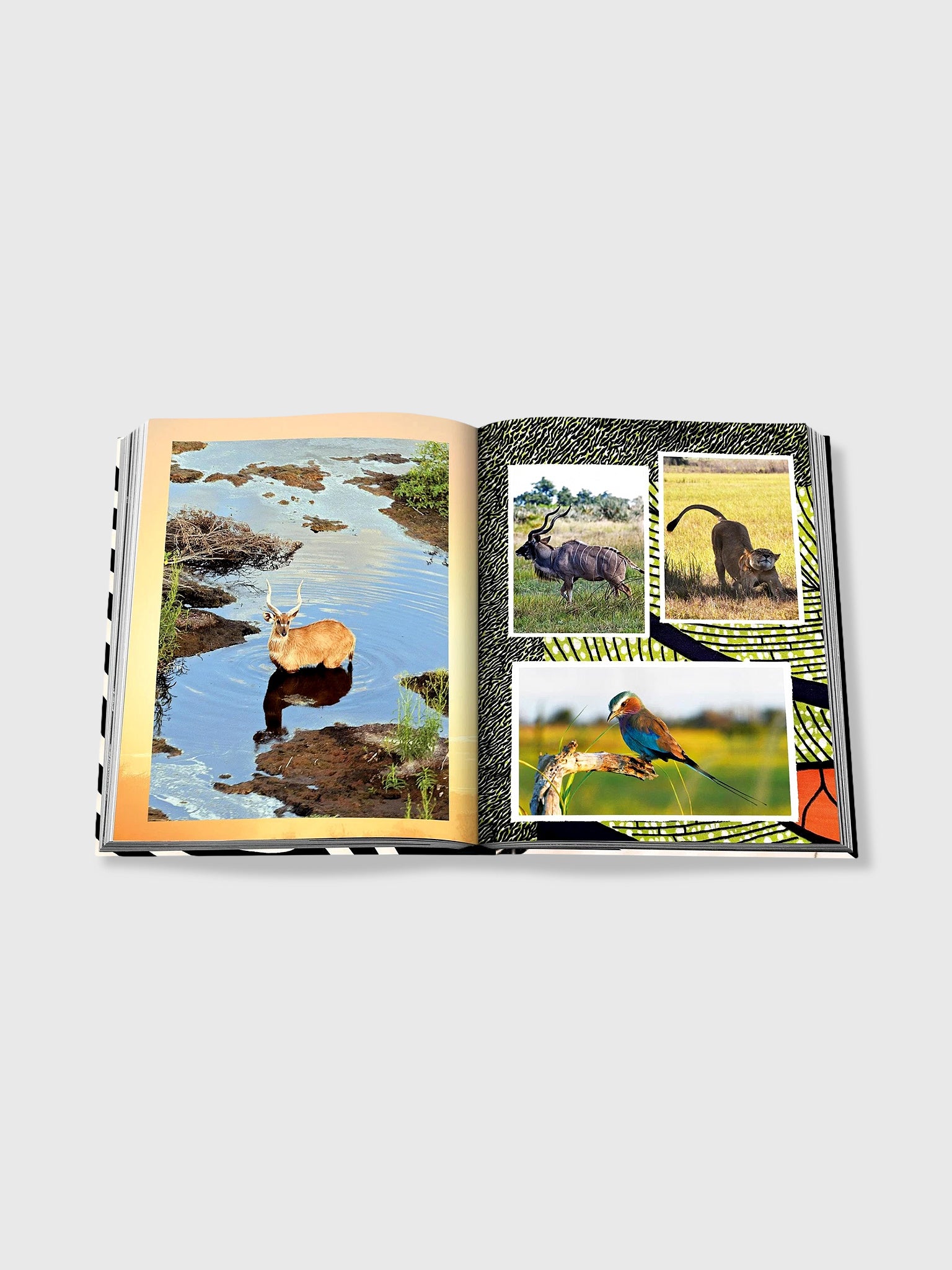 Assouline African Adventures: The Greatest Safari on Earth
