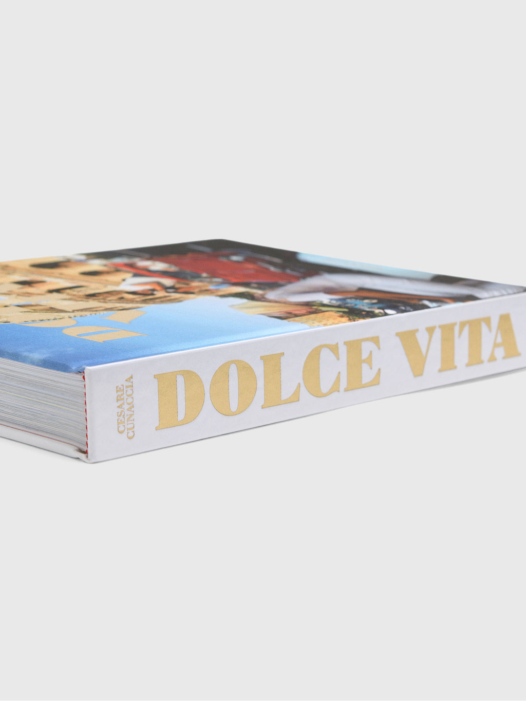 Assouline Dolce Vita - Saint Bernard