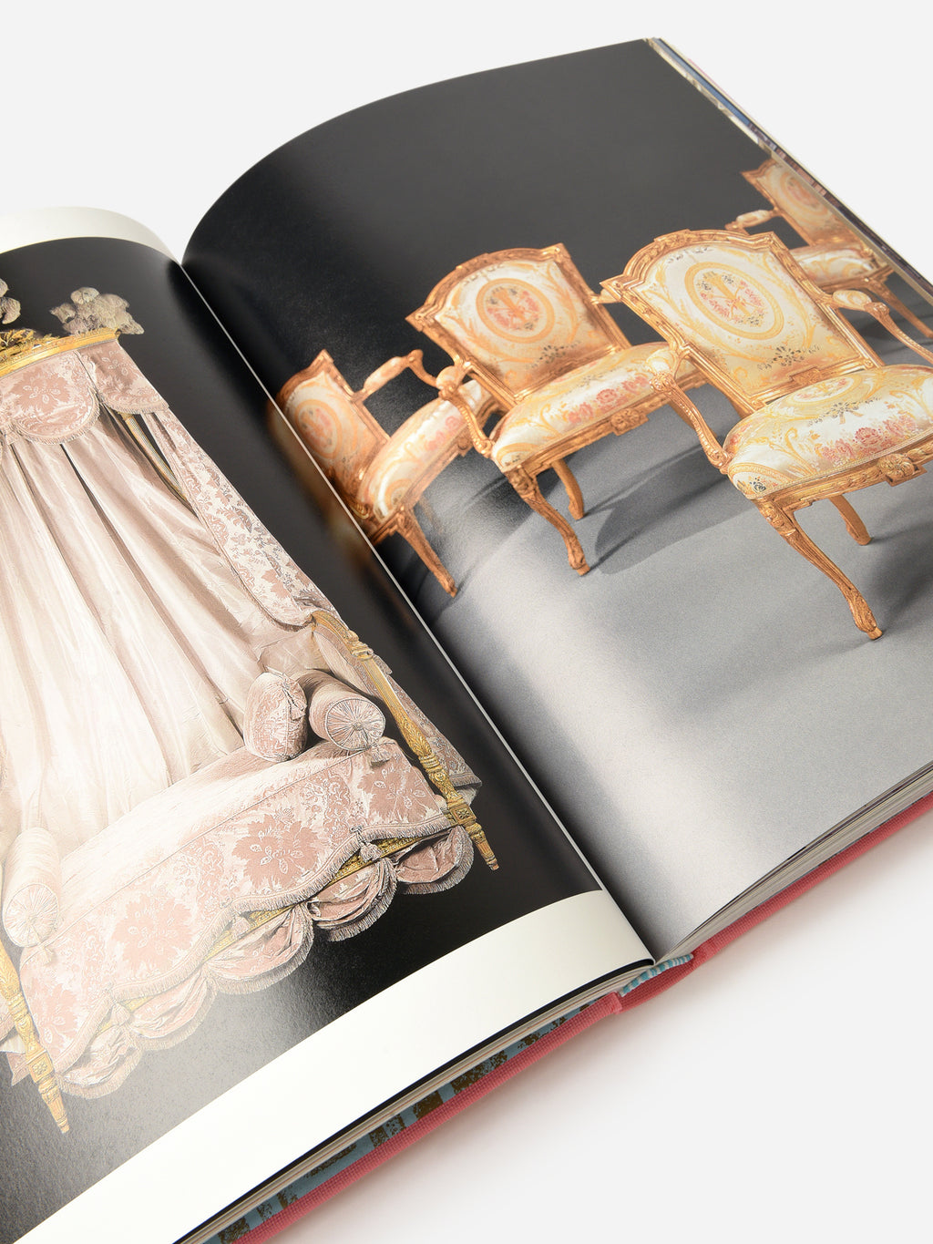 Assouline 18th Century Style – Saint Bernard