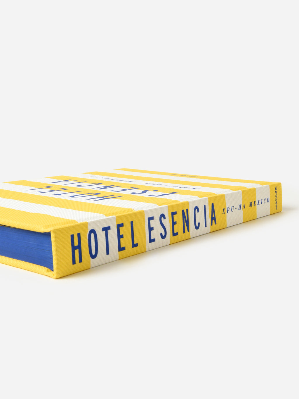 9781649803429xNA-alt1