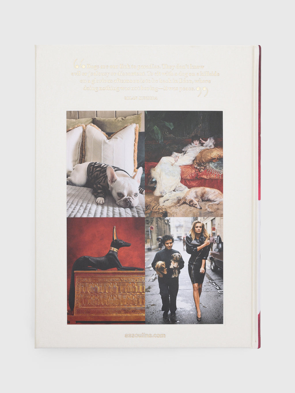 Assouline Chic Dogs - Saint Bernard