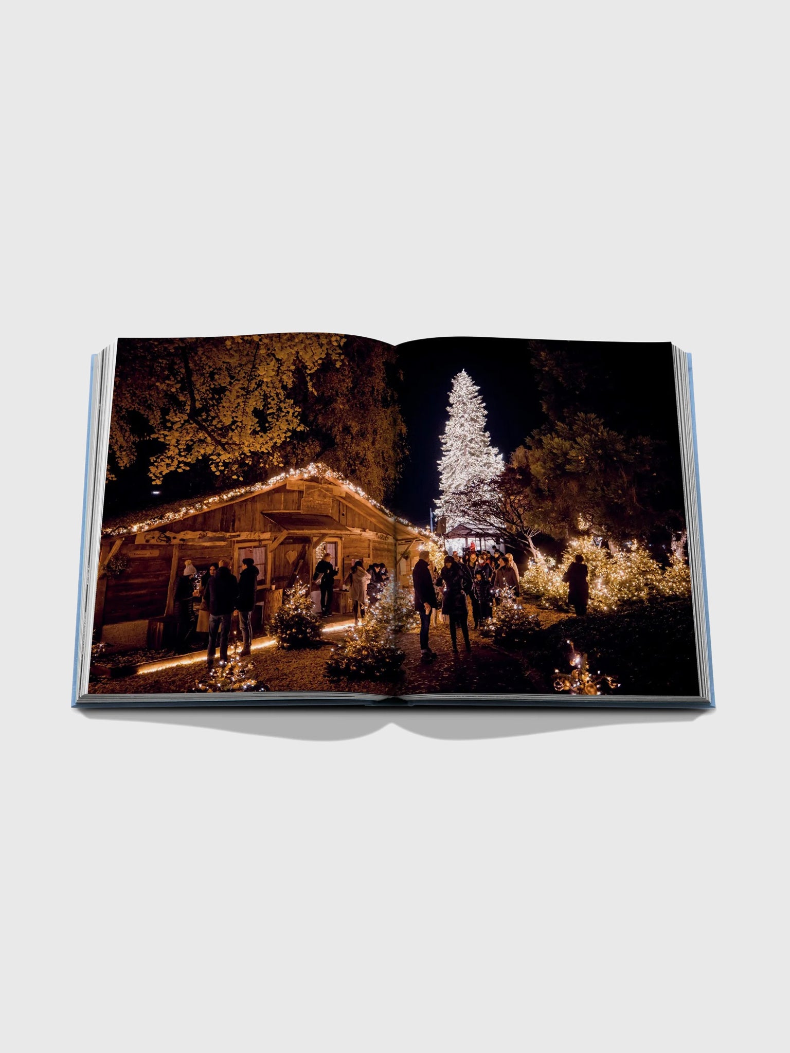 Assouline Baur Au Lac: A Legacy by the Lake
