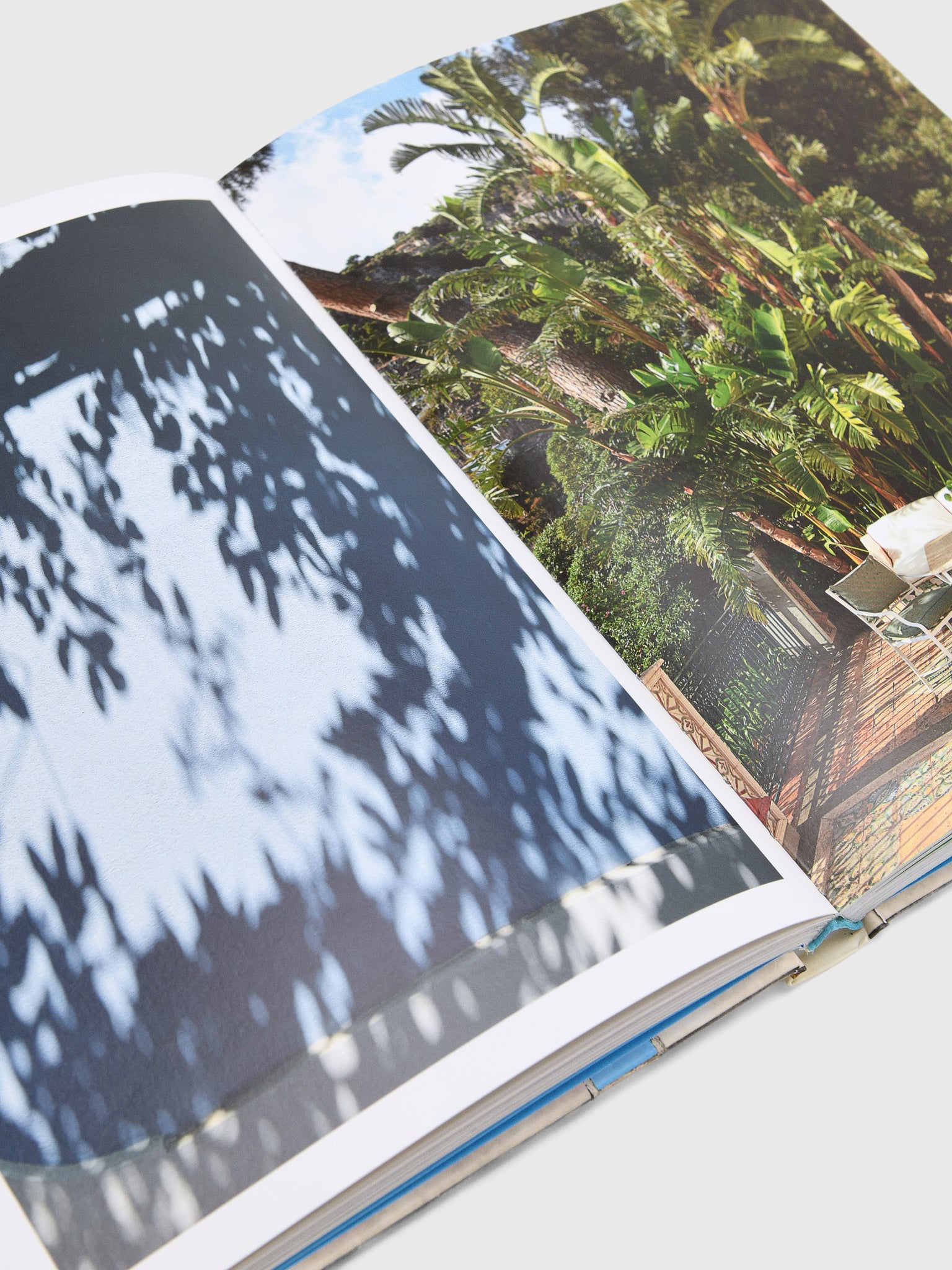 Assouline Villa Treville Positano - Saint Bernard