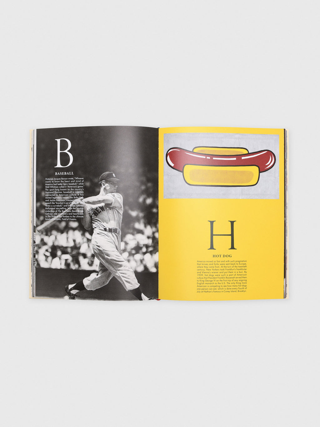 Assouline America: The Imagination of a Nation - Saint Bernard