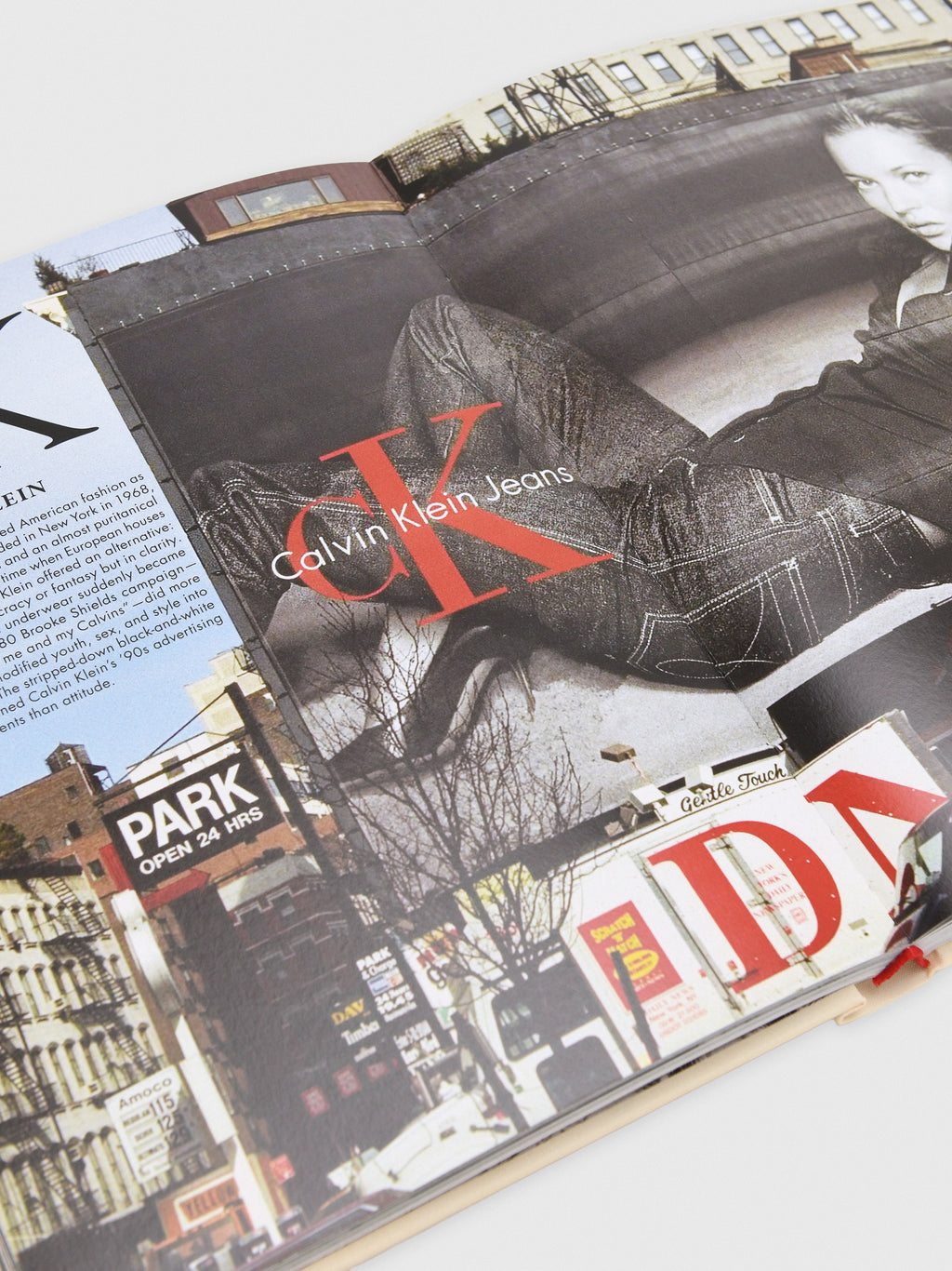 Assouline America: The Imagination of a Nation - Saint Bernard