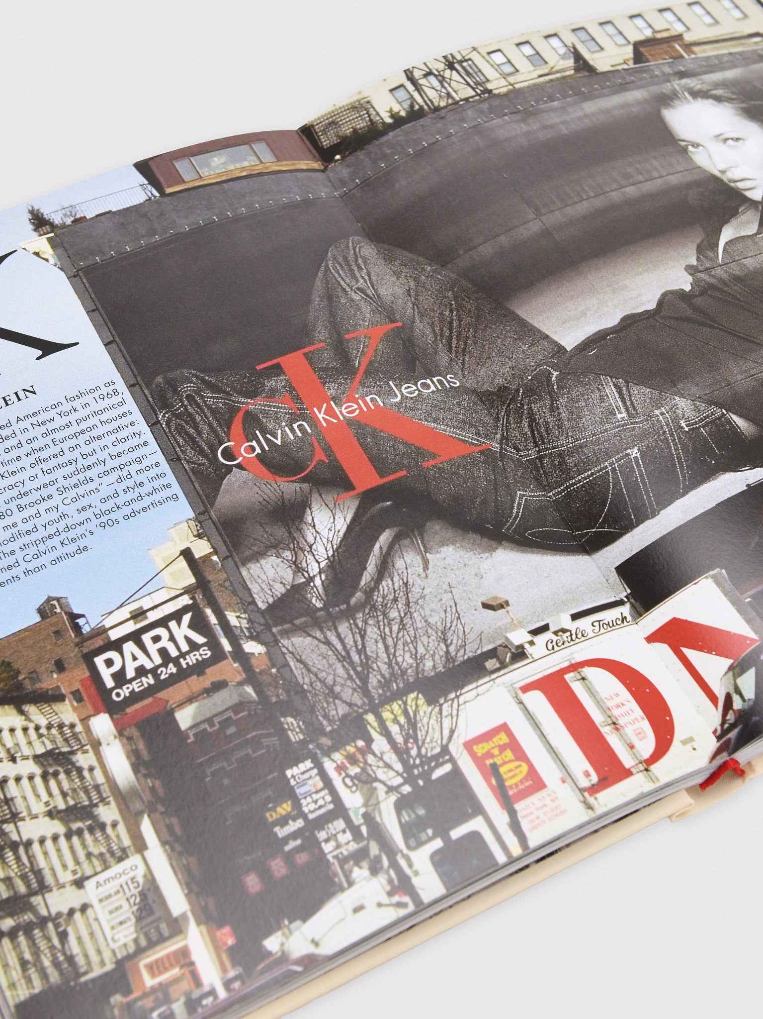 Assouline America: The Imagination of a Nation - Saint Bernard