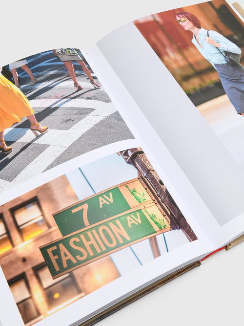 National Book Network New York. In Fashion - Saint Bernard