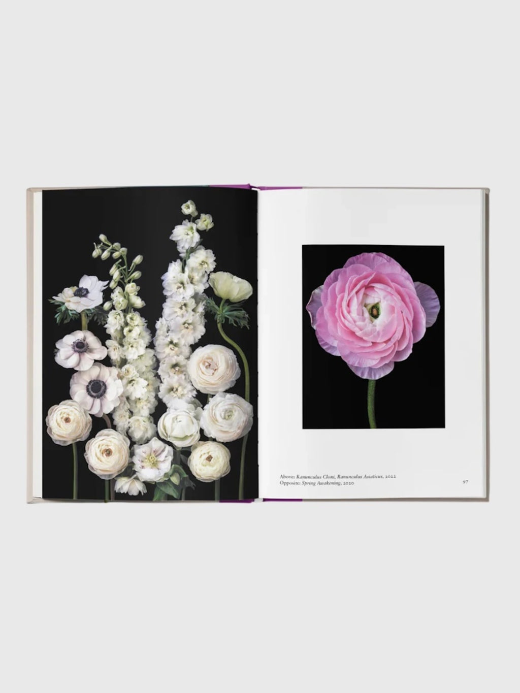 National Book Network New Photography of the Flower - Saint Bernard
