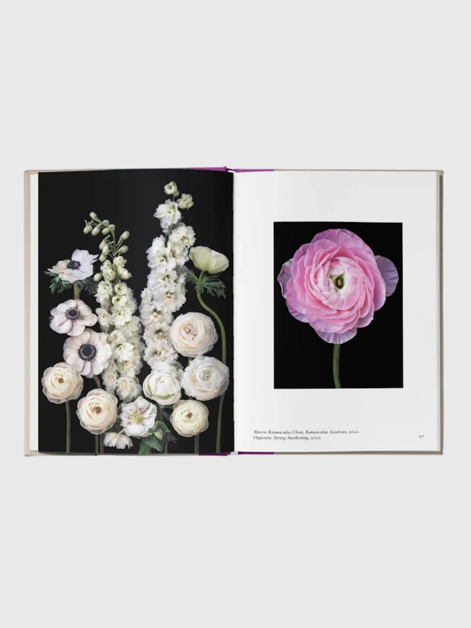 National Book Network New Photography of the Flower - Saint Bernard