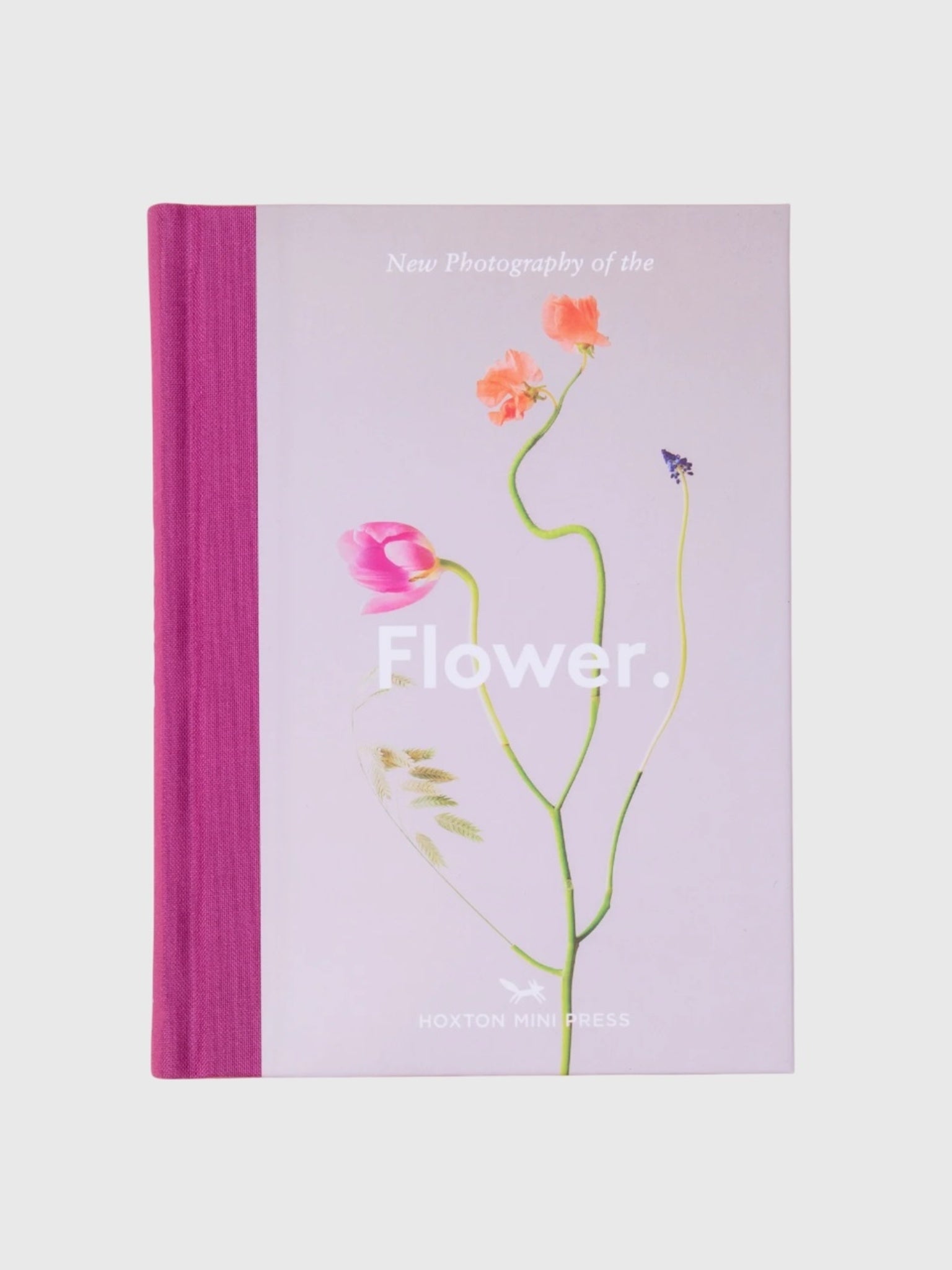 National Book Network New Photography of the Flower - Saint Bernard
