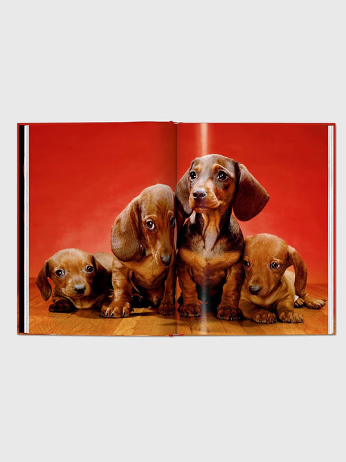 Taschen Walter Chandoha. Dogs. Photographs 1941–1991