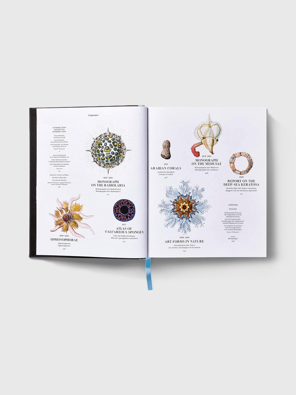 Taschen The Art and Science of Ernst Haeckel