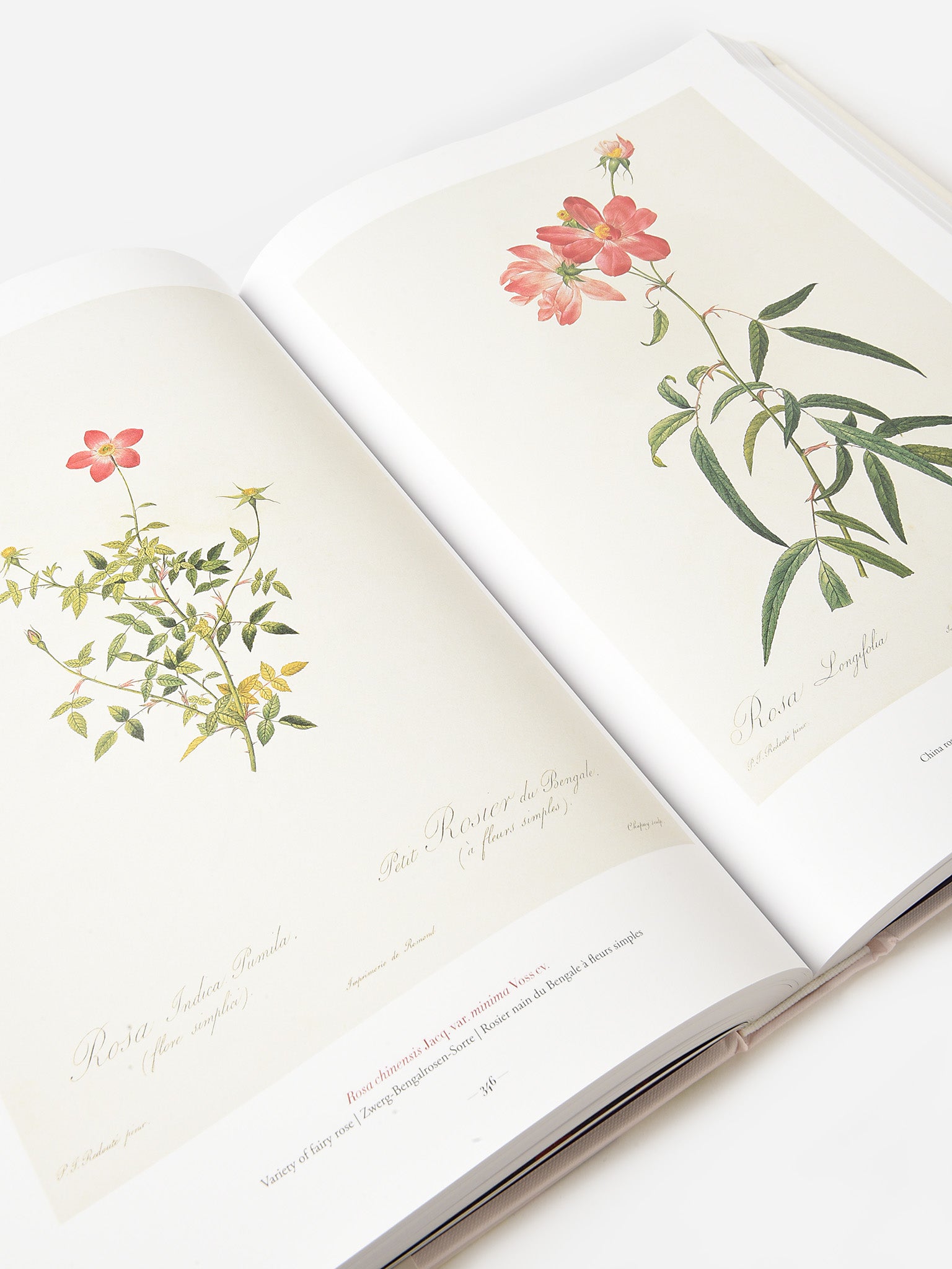 9783836568937xNA-alt2