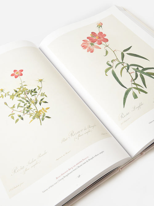 Taschen Redouté: The Book of Flowers
