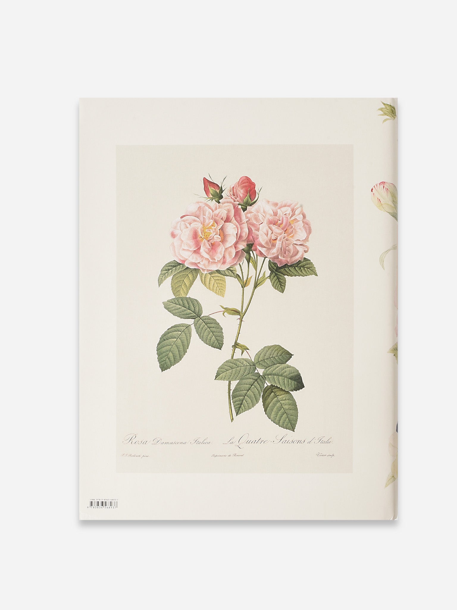 9783836568937xNA-alt3