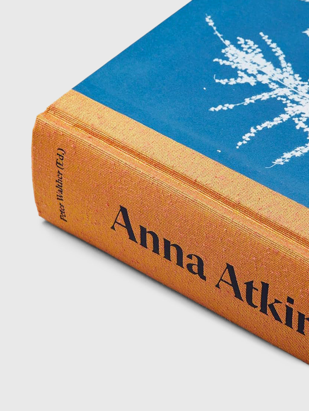 Taschen Anna Atkins. Cyanotypes