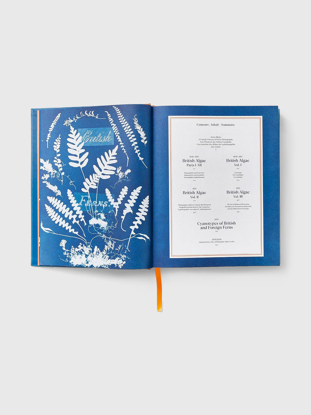 Taschen Anna Atkins. Cyanotypes