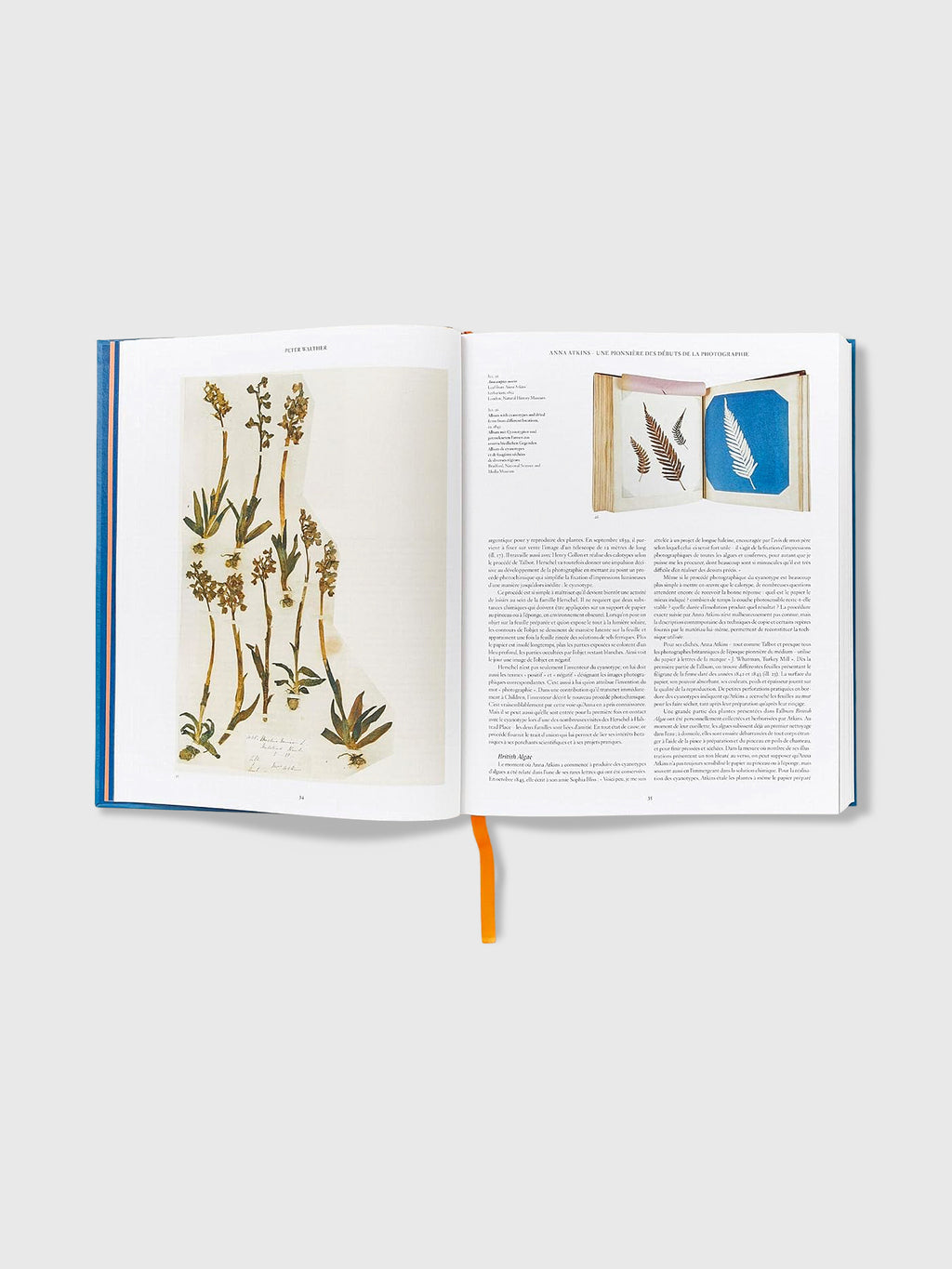 Taschen Anna Atkins. Cyanotypes