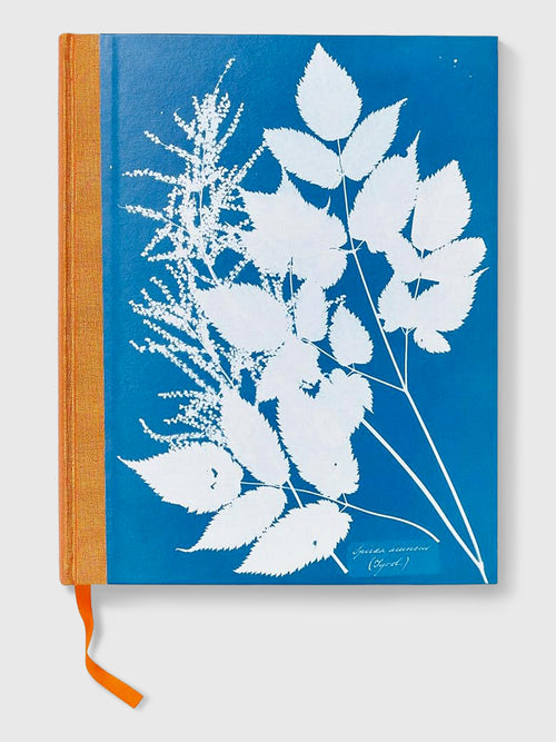 Taschen Anna Atkins. Cyanotypes - Saint Bernard