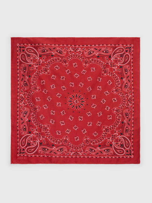 The Great The Silk Bandana - Saint Bernard