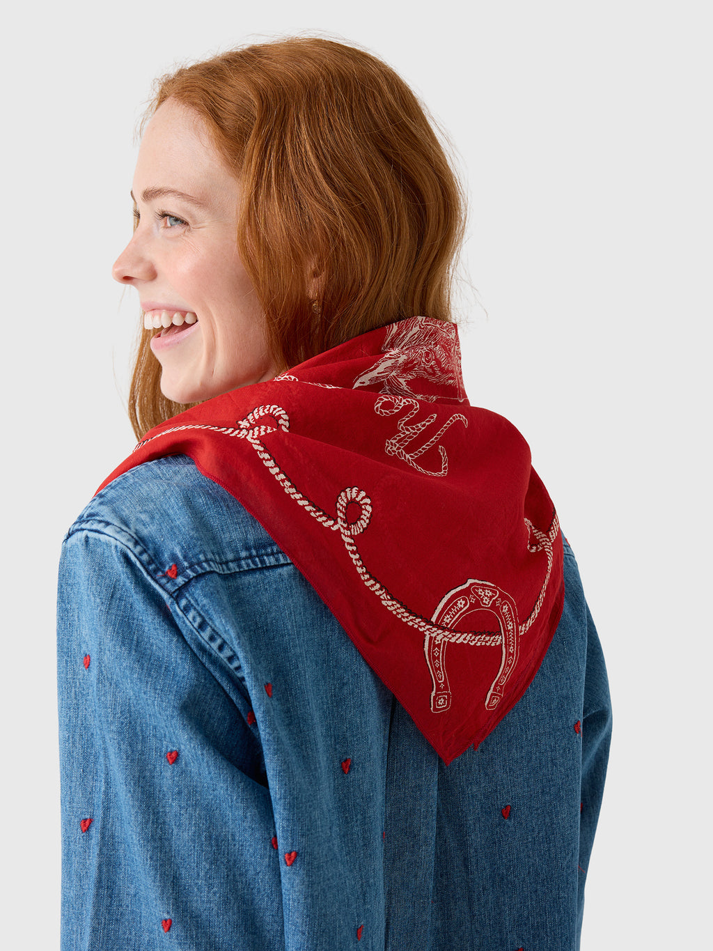 The Great The Stetson Western Bandana - Saint Bernard