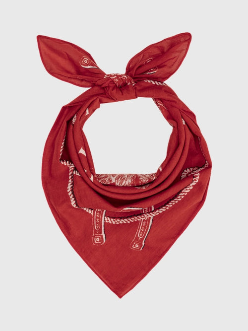 The Great The Stetson Western Bandana - Saint Bernard