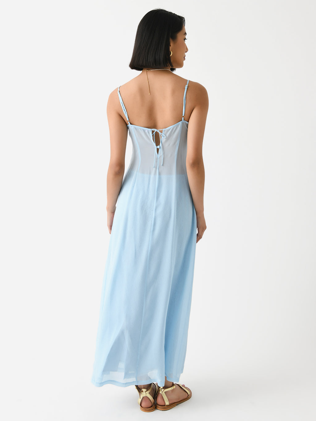 A2024-8319xCORNFLOWER-alt2