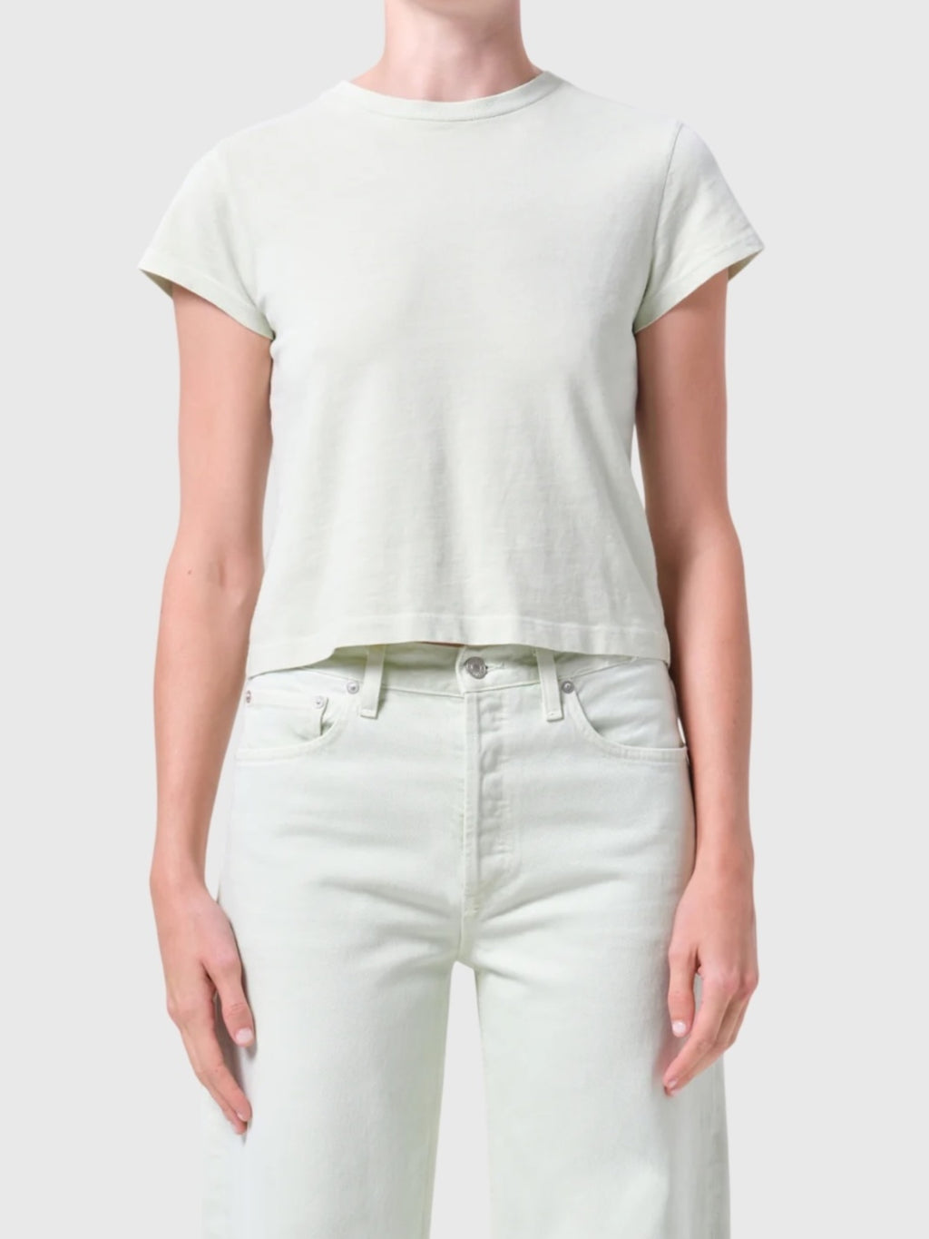 Agolde Women's Adine Shrunken Tee - Saint Bernard