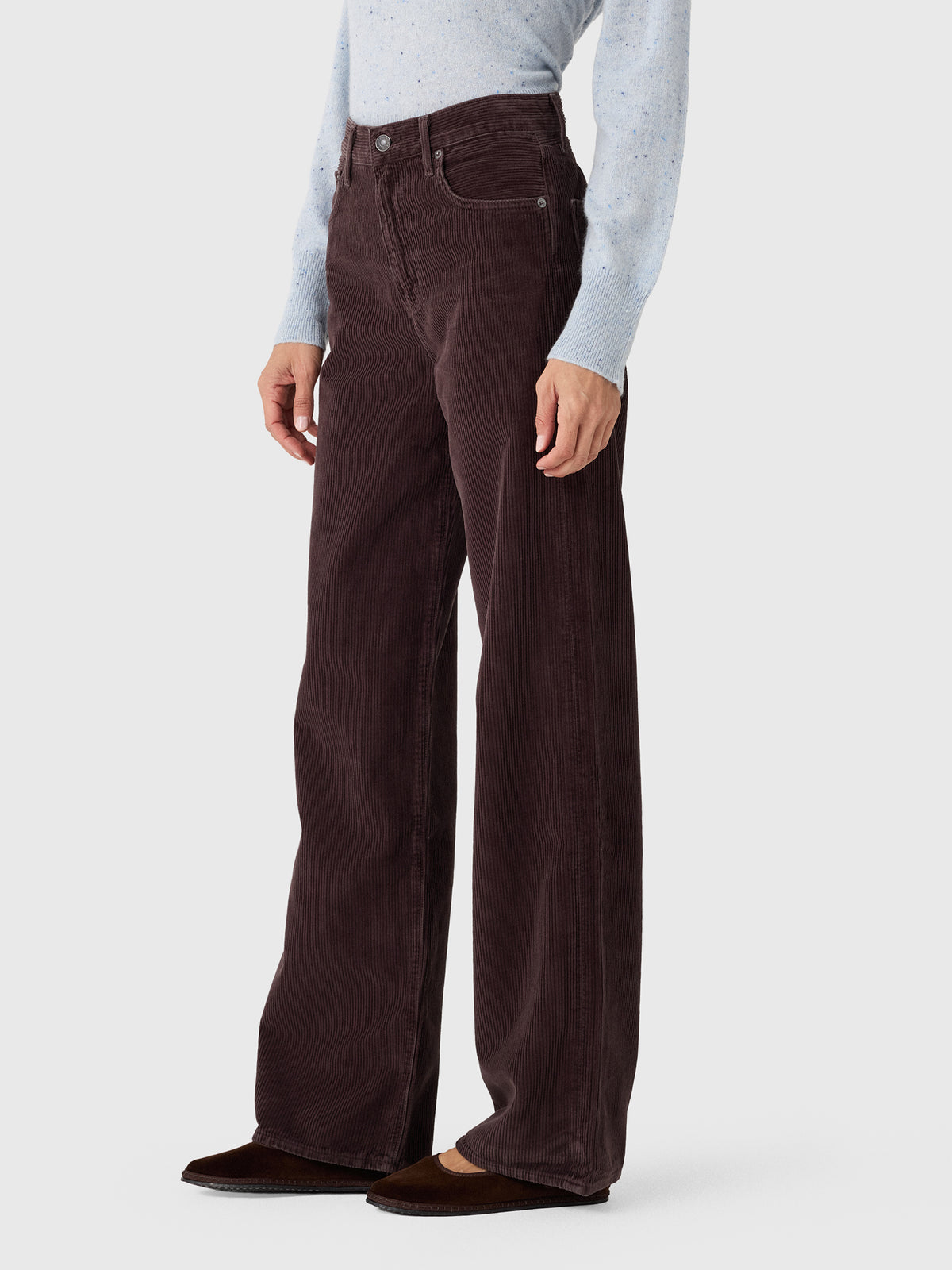 Agolde Women's Ren Wide Leg 32" Jean - Saint Bernard