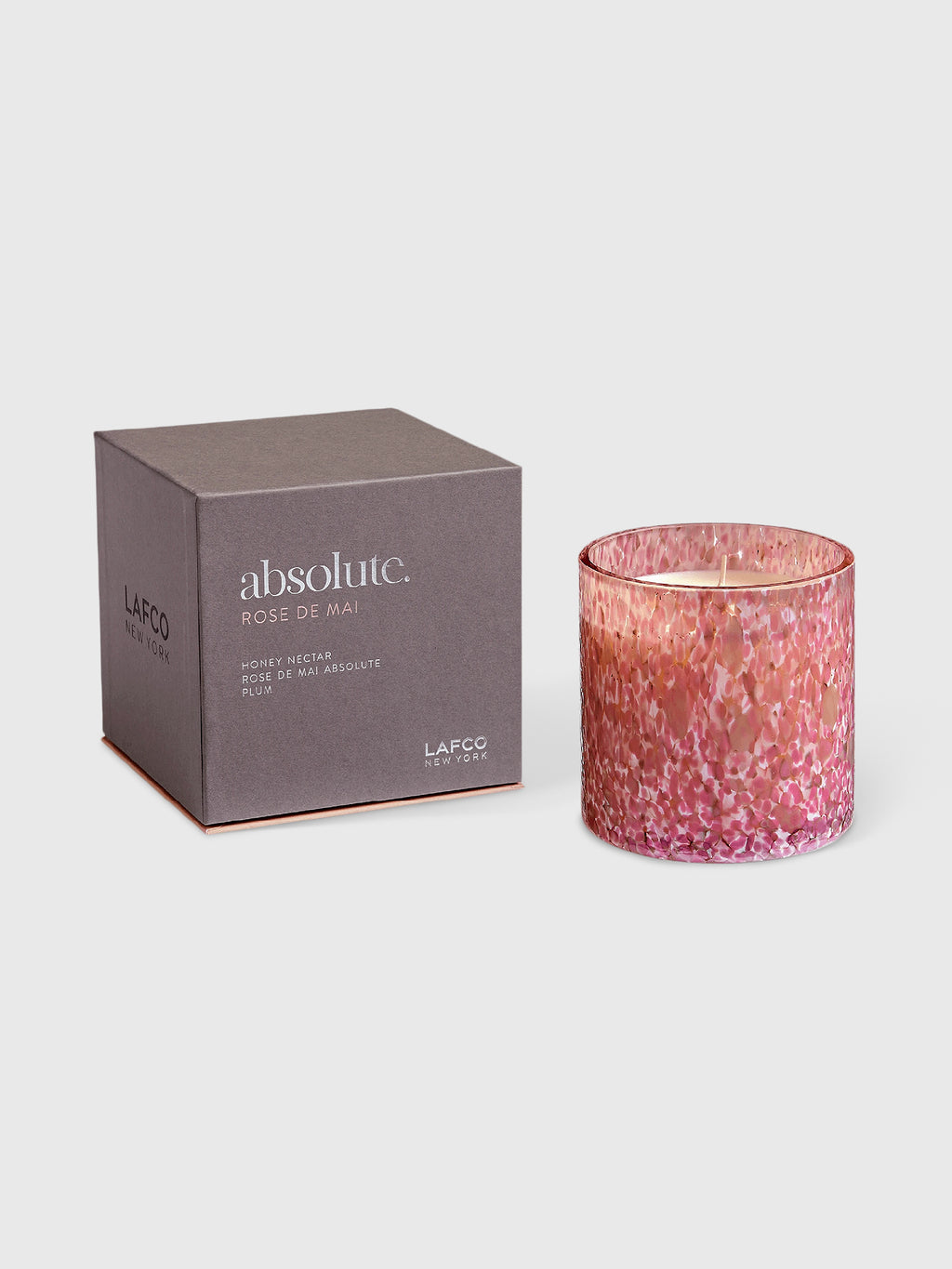 LAFCO Absolute Collection Candle - Saint Bernard