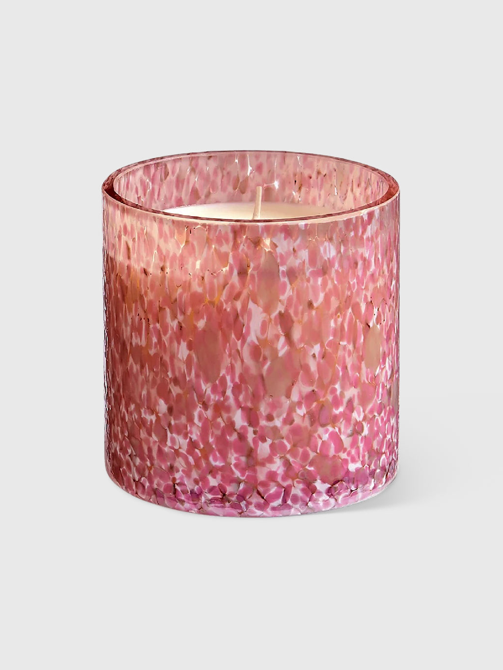 LAFCO Absolute Collection Candle - Saint Bernard