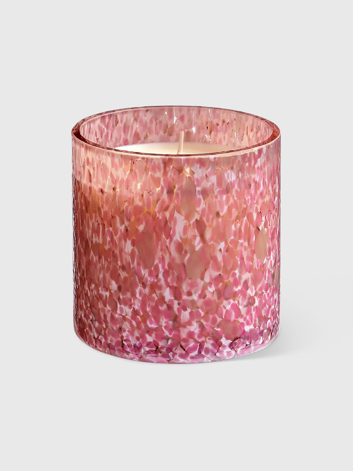 LAFCO Absolute Collection Candle - Saint Bernard
