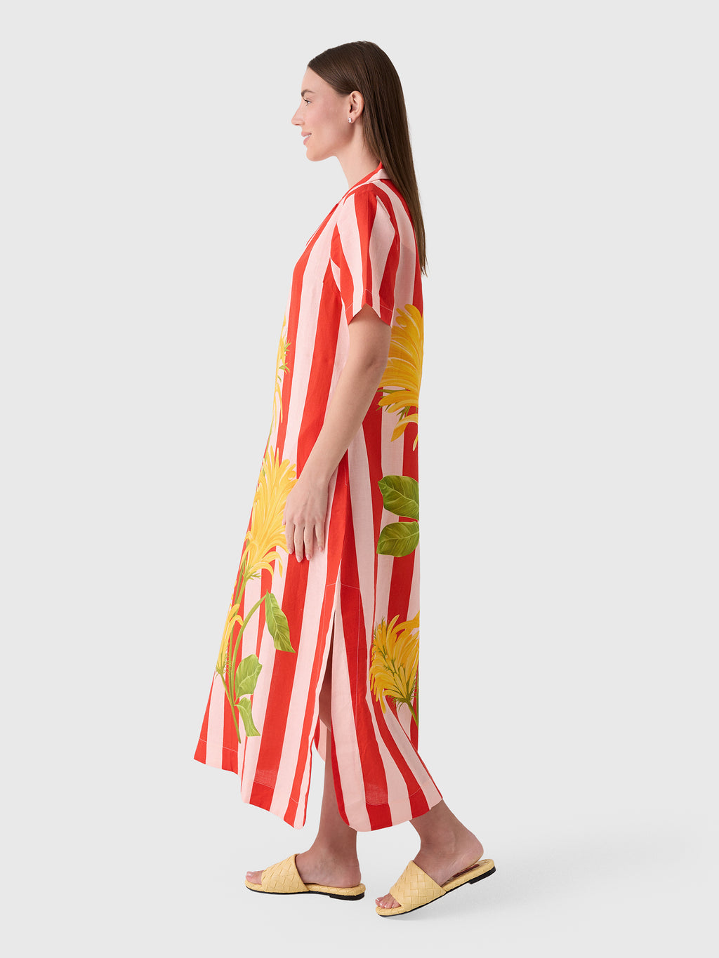 Verandah Women's Jacobina & Stripes Shirt Dress - Saint Bernard