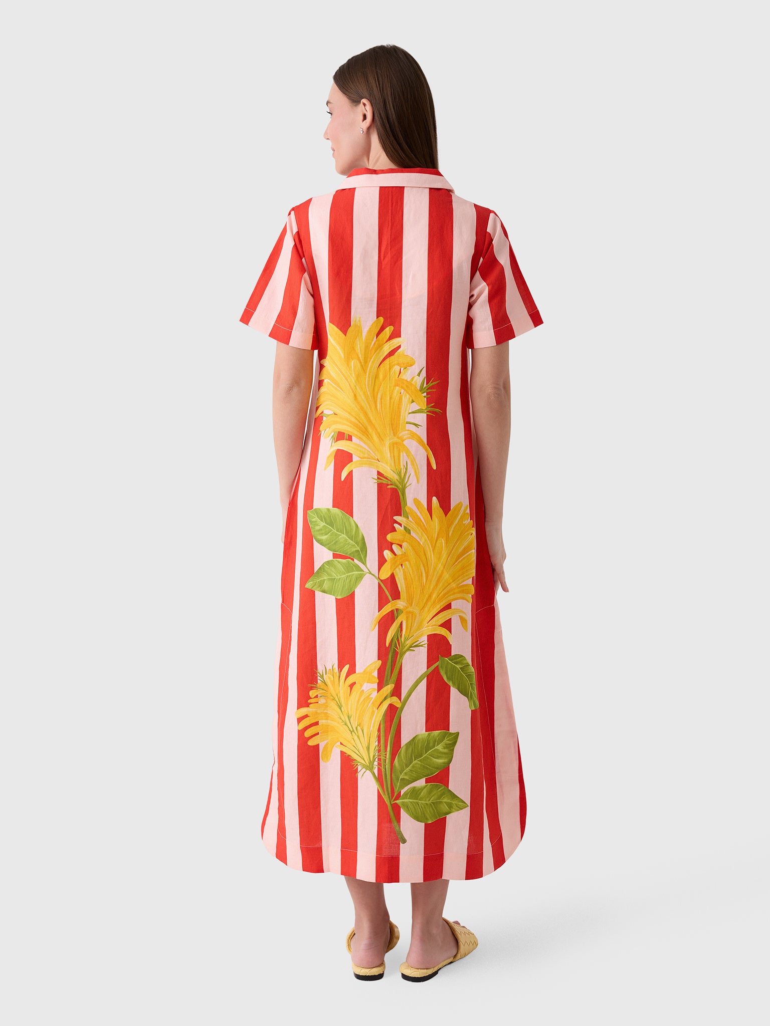 Verandah Women's Jacobina & Stripes Shirt Dress - Saint Bernard
