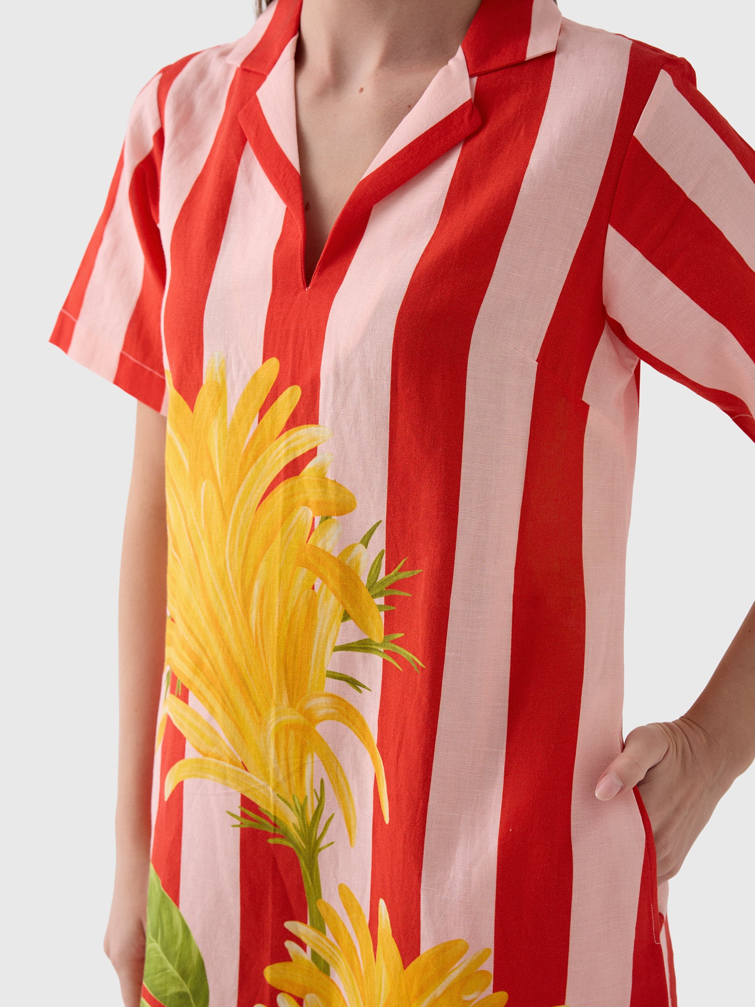 Verandah Women's Jacobina & Stripes Shirt Dress - Saint Bernard