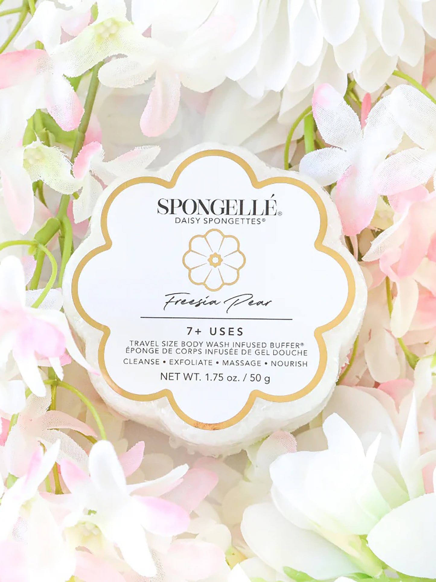 AST-DCSPGFPxWHITE-alt1