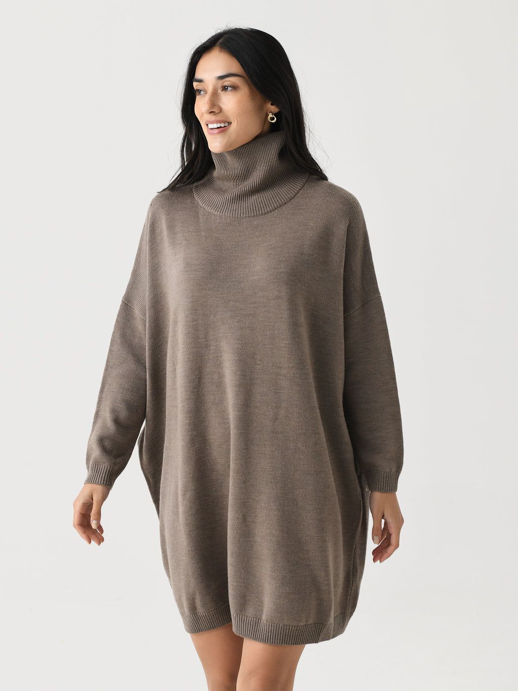 Mr. Mittens Women's High Neck Mini Dress - Saint Bernard