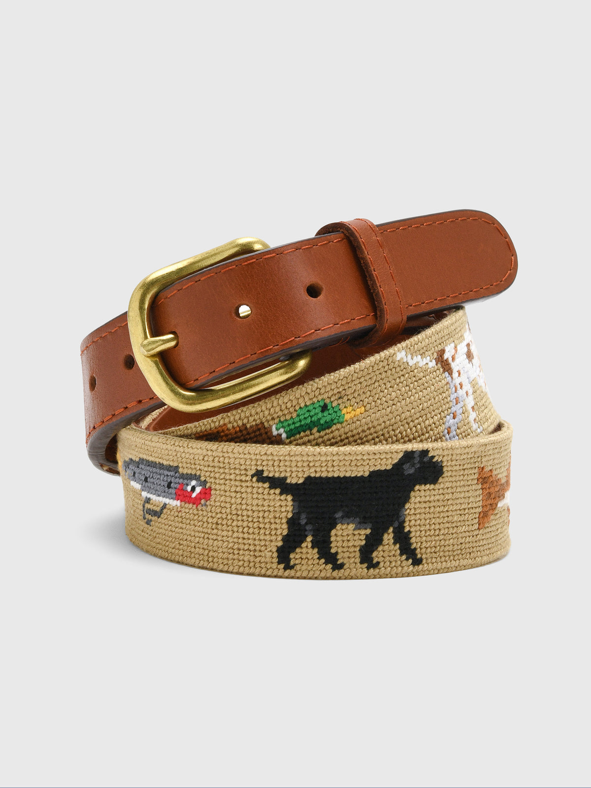 Smathers & Branson Men's Southern Sportsman Needlepoint Belt - Saint Bernard